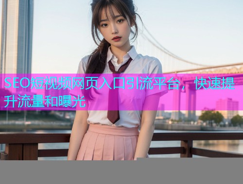 SEO短视频网页入口引流平台，快速提升流量和曝光