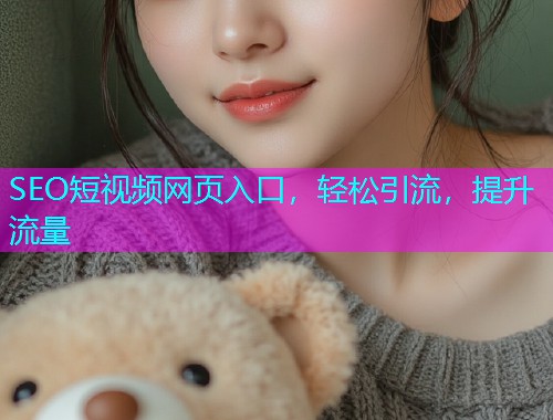 SEO短视频网页入口，轻松引流，提升流量